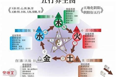 五行行業土|【土的行業】五行屬土最旺的行業大公開！適合土命者的求財秘笈。